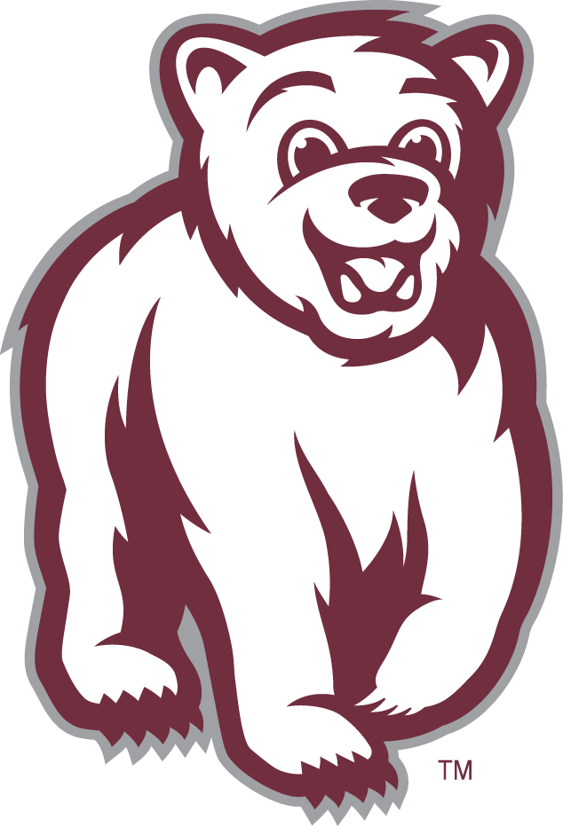 Montana Grizzlies 2010-Pres Mascot Logo v3 iron on transfers for clothing
